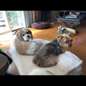 Meet your Posher, Robbin